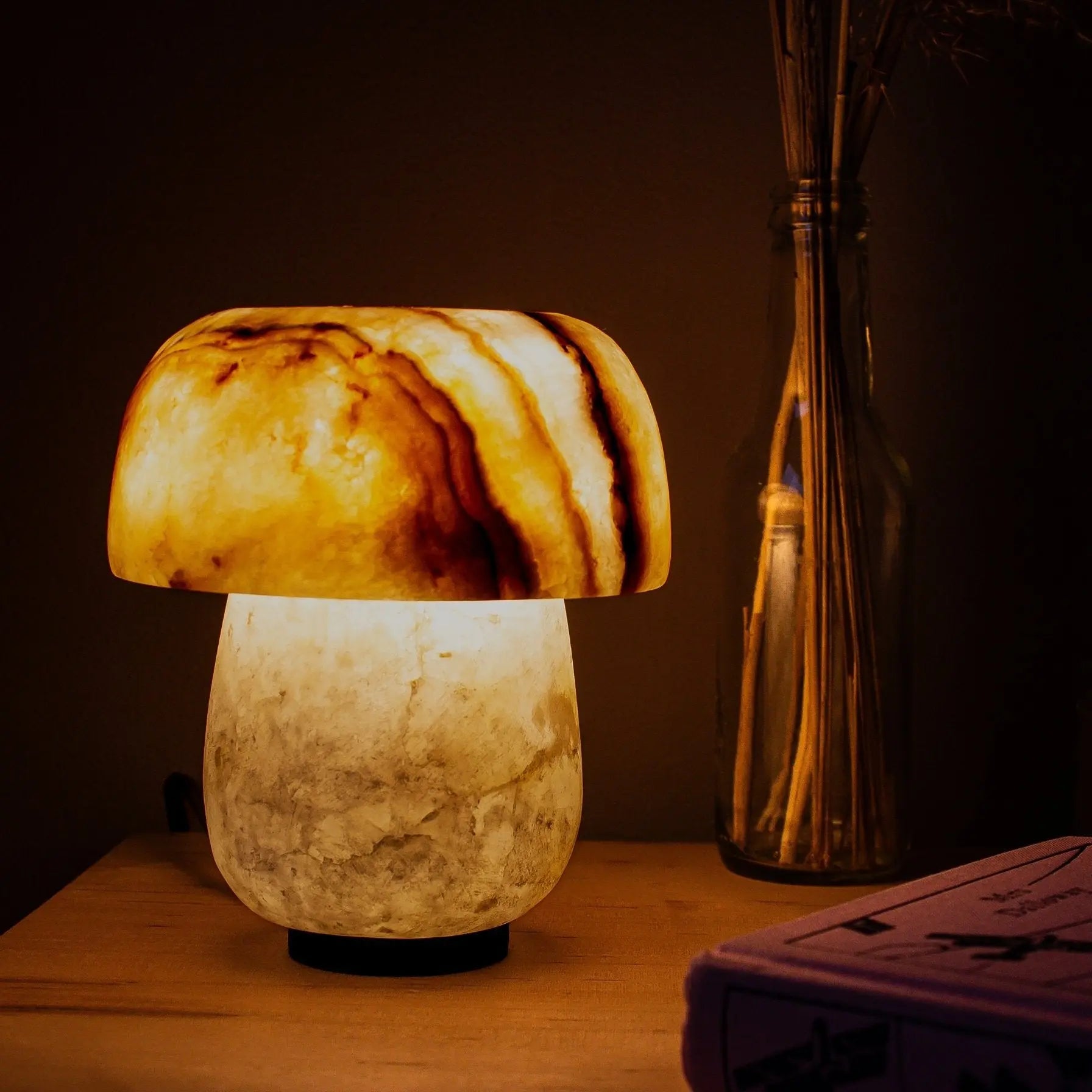667c366beca1a07b1527c11c_4-shroom-dot-in-situ-2_1771423223228.jpg