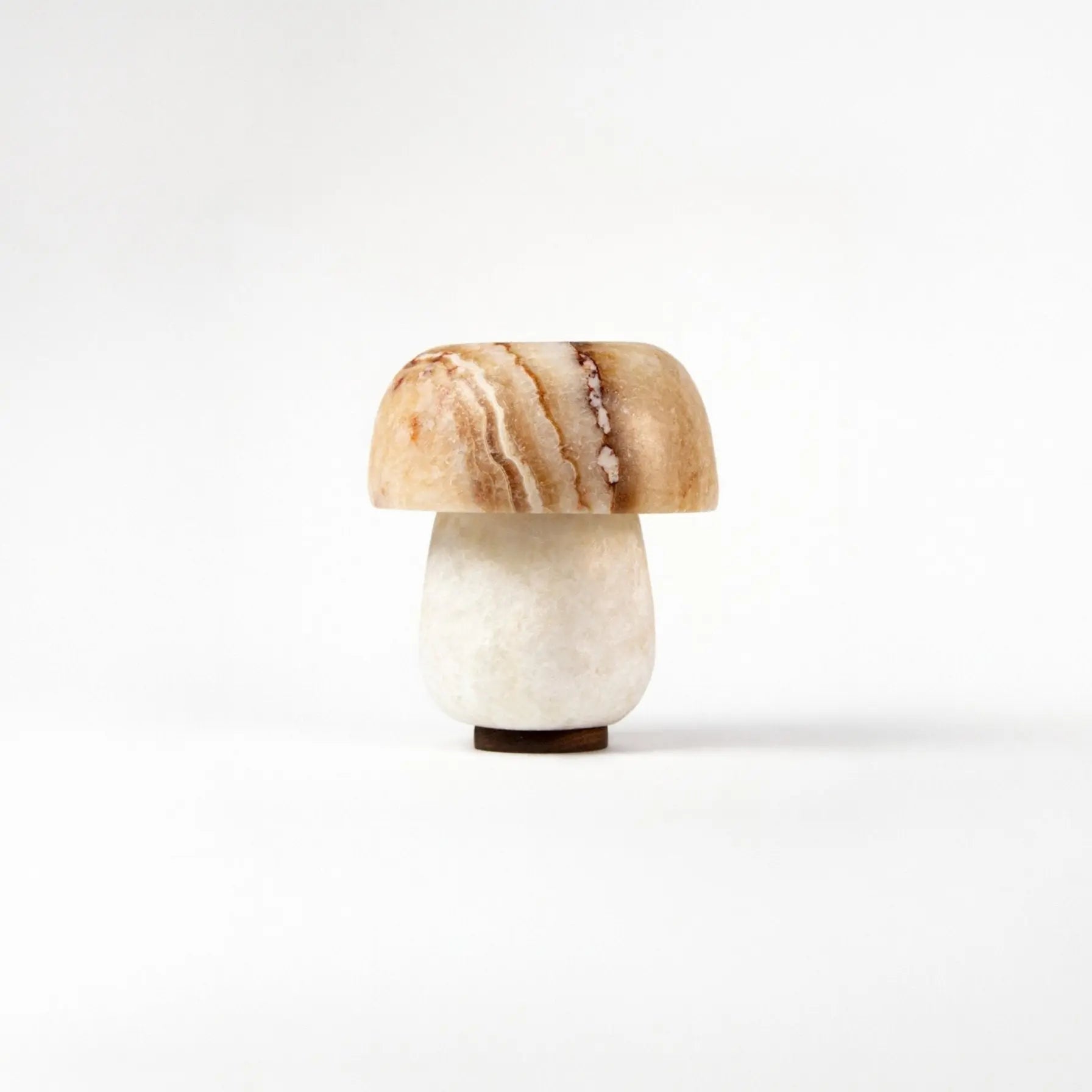 667c366beca1a07b1527c11c_7-shroom-dot-sienna_1771423223228.jpg