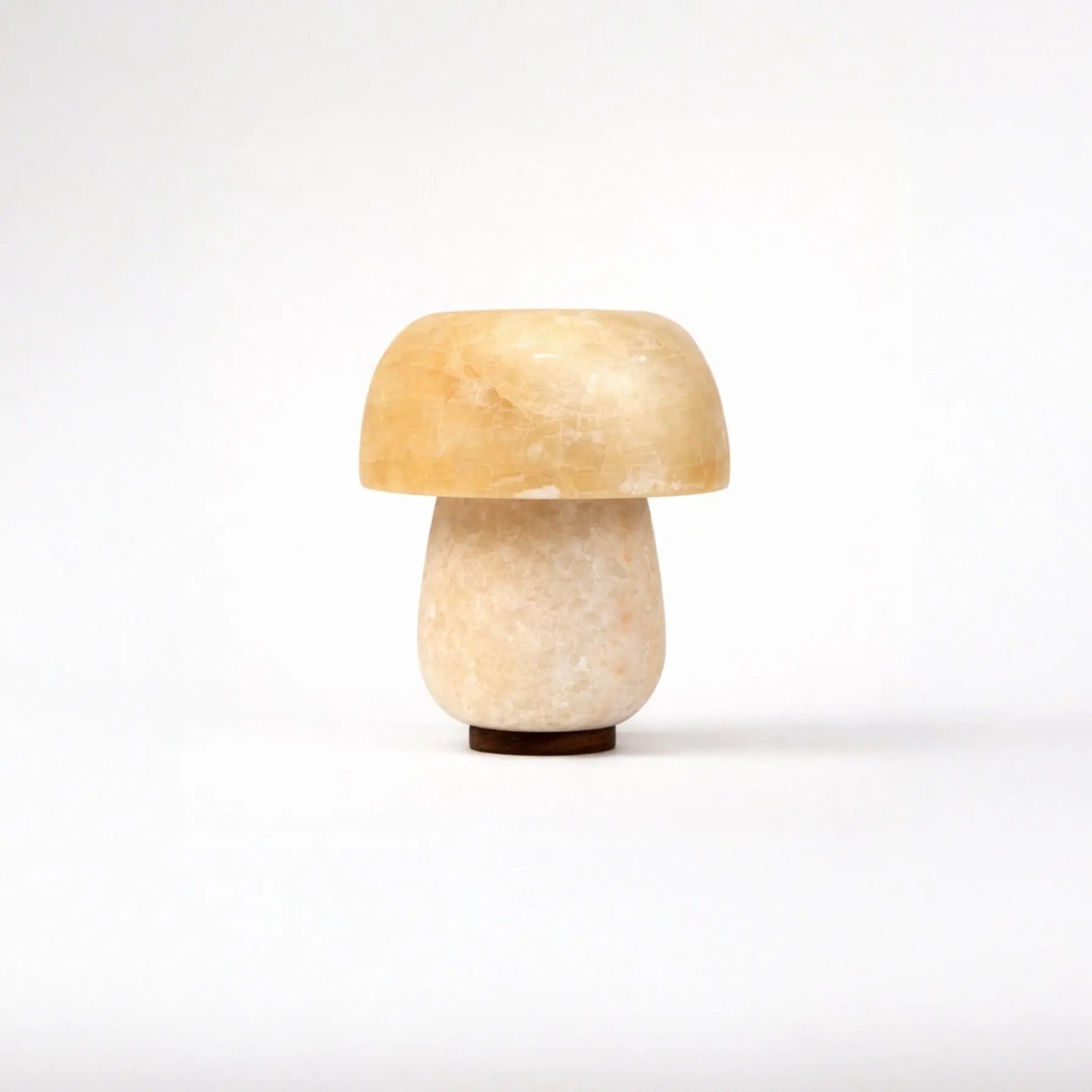 667c366beca1a07b1527c11c_8-shroom-dot-amber_1771423223228.jpg
