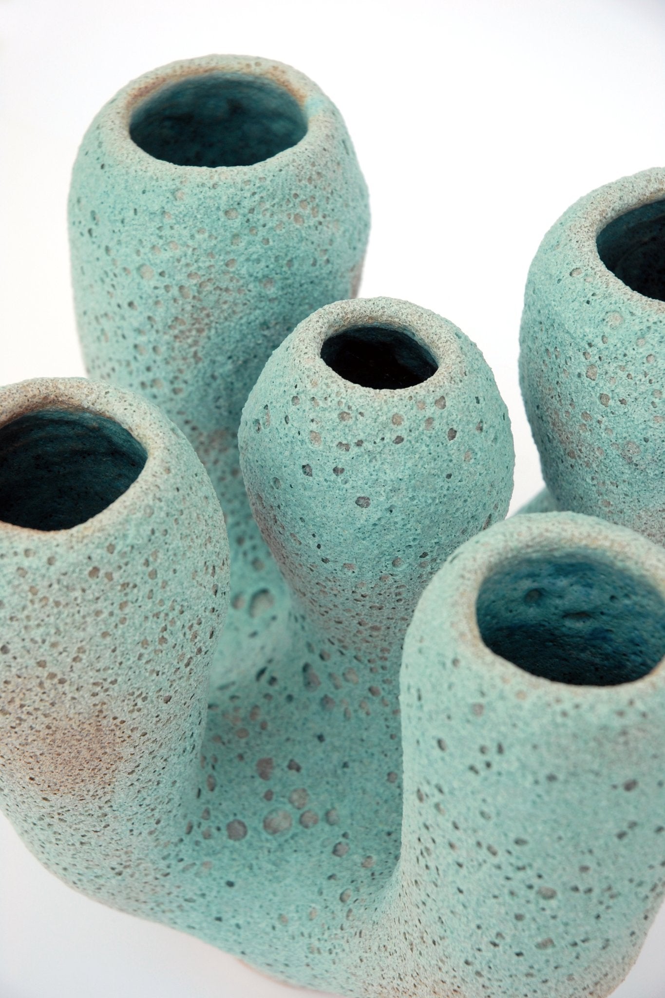 667c366beca1a07b1527c11c_calyx-turquoise-1c_1761301804541.jpg