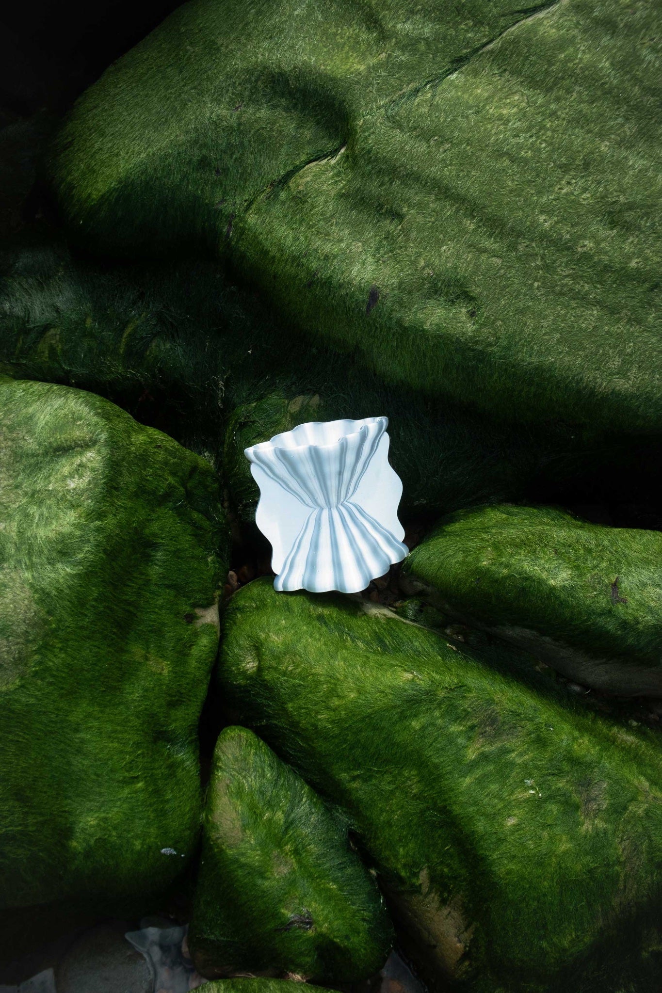 667c366beca1a07b1527c11c_photo-vase-web_1761303483270.jpg