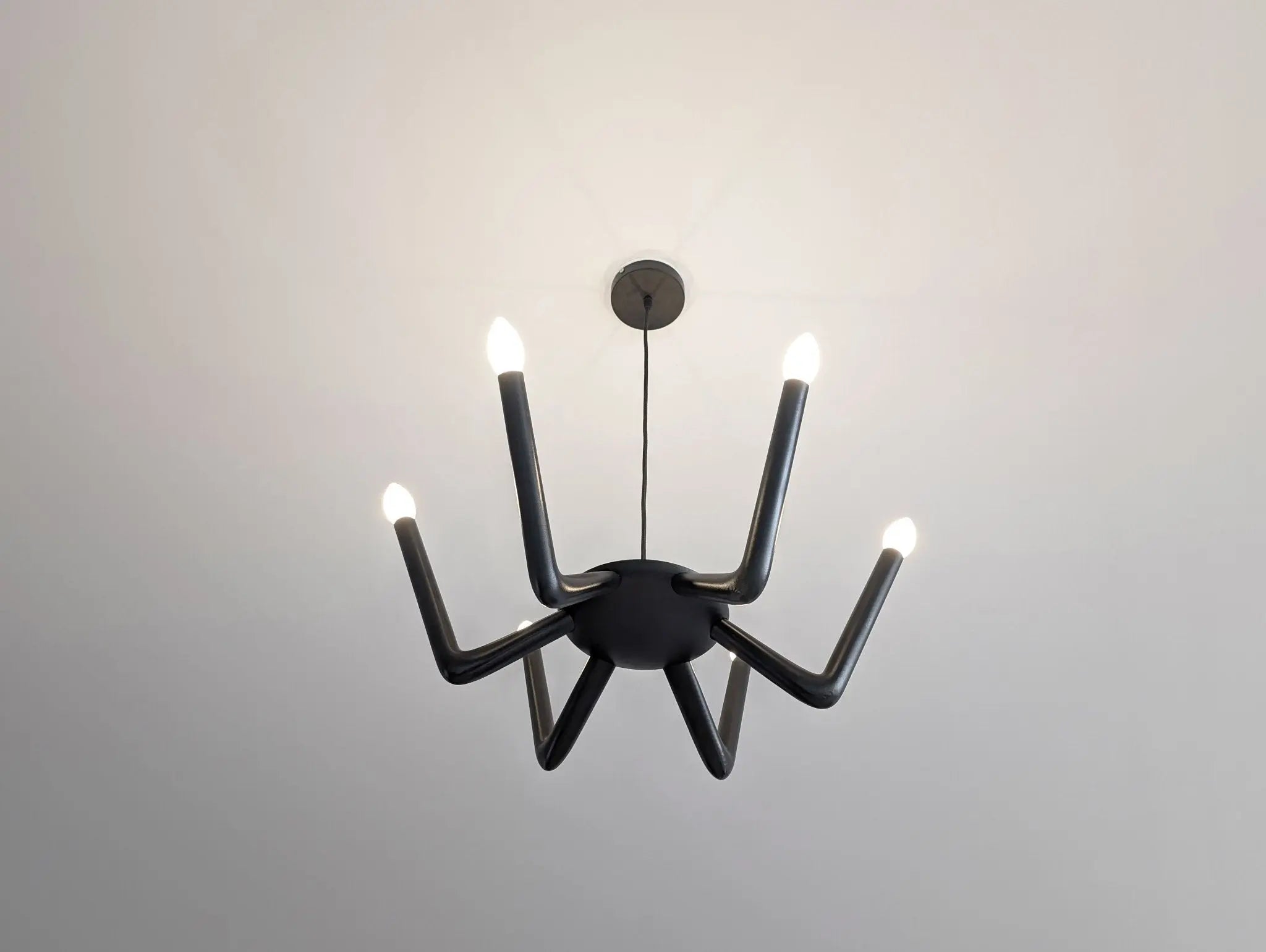 Aracni6 Francois Kessler