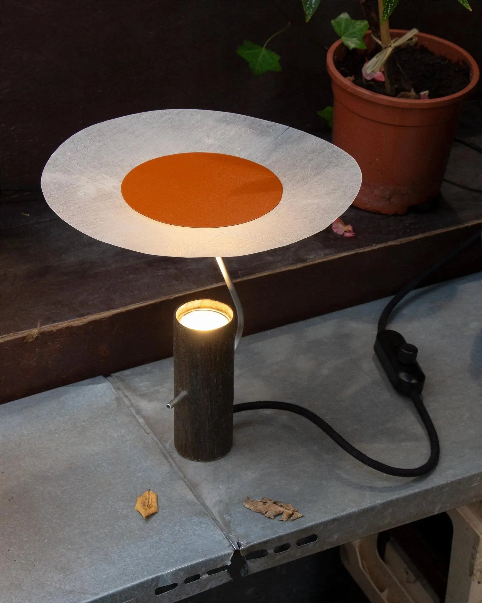 Lampe Pilea - Medium - 1