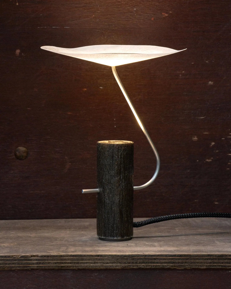 Lampe Pilea - Small - 1