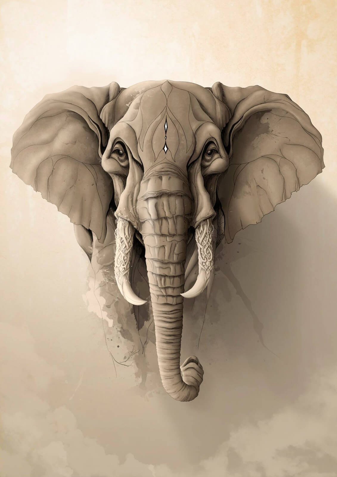 Elephant - 1