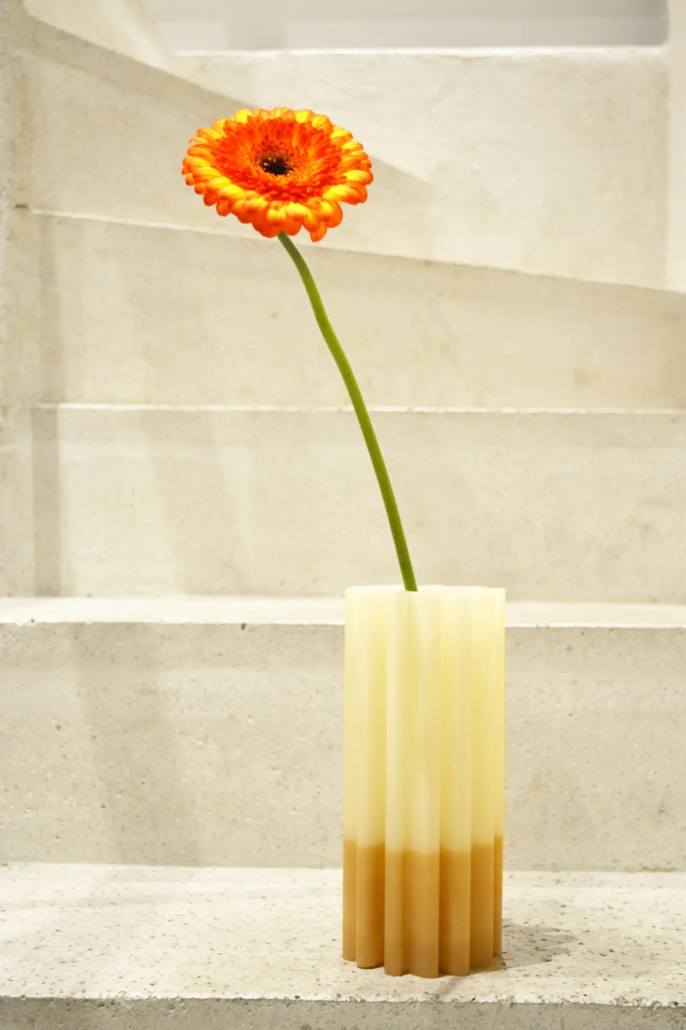 Diplo Vase - 12