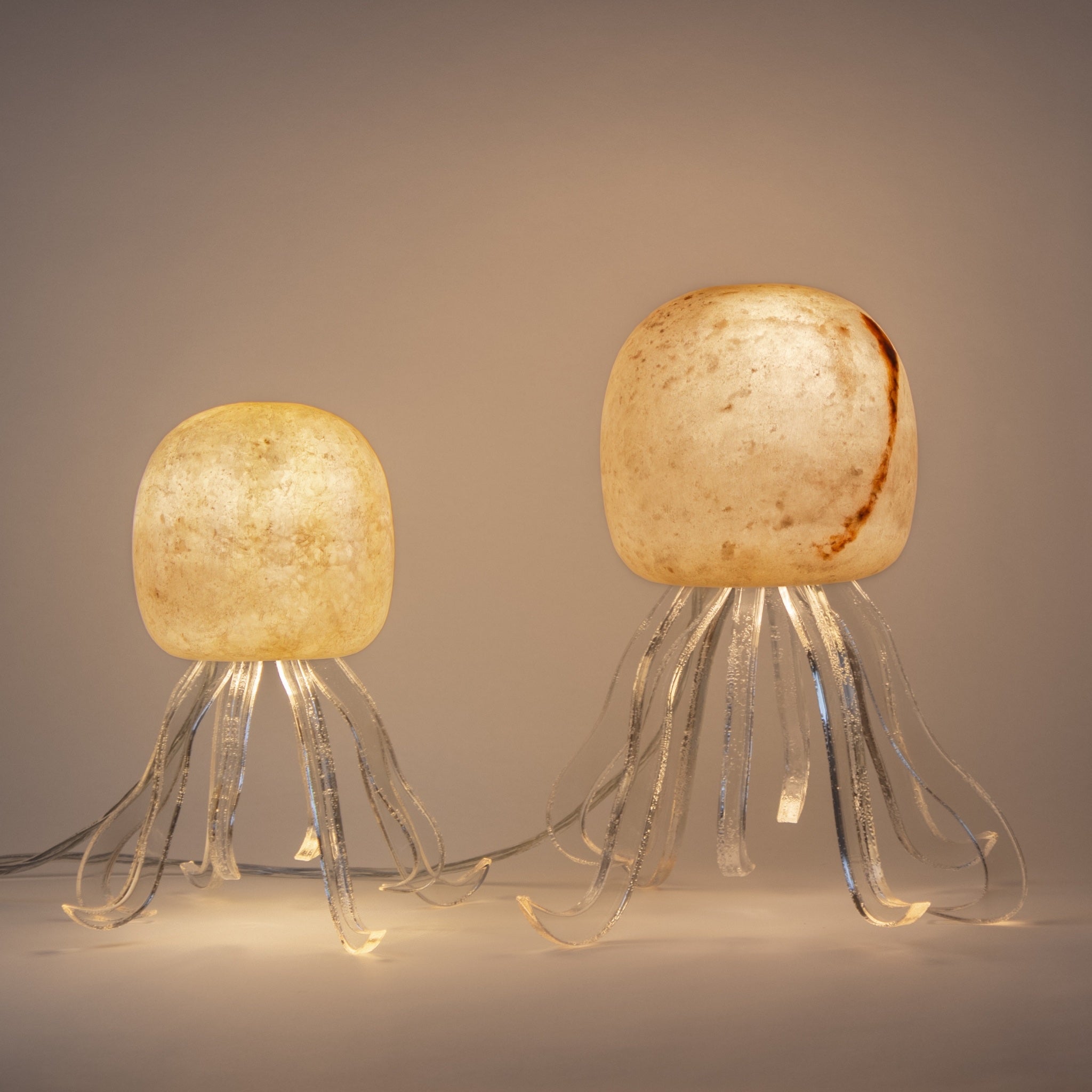 Seeba Bubbly | Round