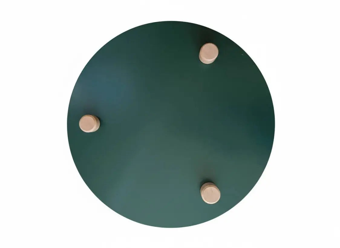 667c366beca1a07b1527c11c_table-basse-ronde-verte-2_1763392757204.png